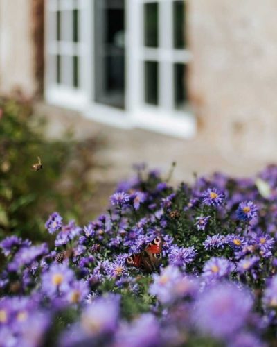 dom pułkownika net (7 of 44)